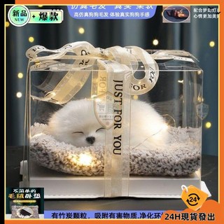 生日禮物女生送閨蜜女孩女友特別實用小衆創意高級感禮品, 小號橘貓,精美禮盒套裝（會叫款）