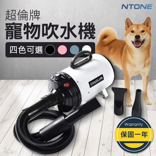 恩特萬 超倫牌寵物專用吹水機（台灣公司貨）110V 最小聲 保固一年, 白色