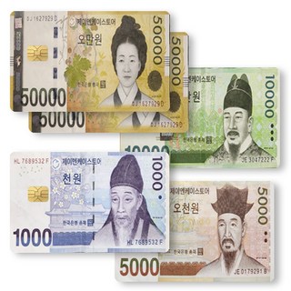 제이엔케이스토어 카드 스킨 꾸미기 스티커 커버 5매입, 지폐, IC 직사각