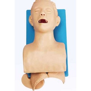 기도 삽관 마네킹 모형 교구 보건 훈련 훈련용 모델 구조, 1개, 성인 기관내삽관(알람X)
