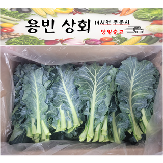 ( 용빈 상회 ) 국내산 케일 즙용 쌈케일 쌈채소 2kg내외 4kg내외, 1박스, 2kg