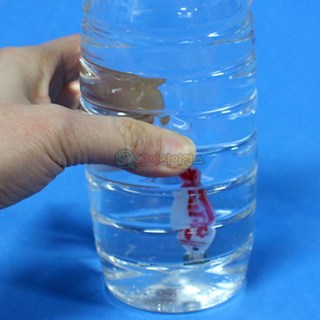 물고기 잠수함만들기 부력의원리실험 10인세트, 1개