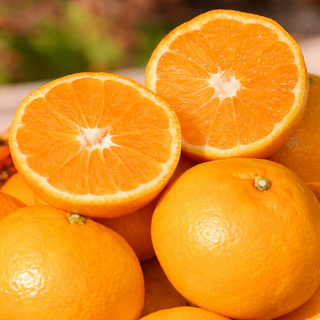 [한정특가] 고당도 제주 천혜향 초특가, 1개, 5kg 혼합과