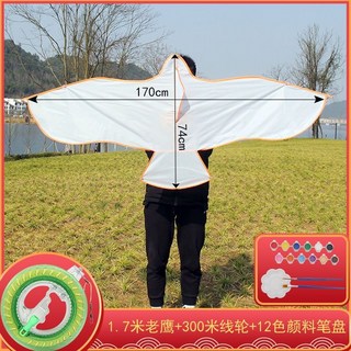 【開發票/統編】特大DIY風箏 兒童手工塗色風箏 塗鴉填色親子教學 易飛高檔空白風箏 高飛風箏teddy6, 1.7米平鹰+12色+300米線輪, 1個