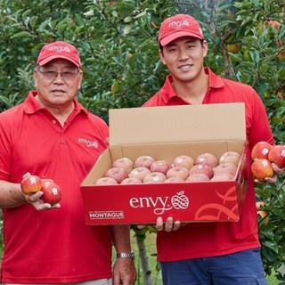 [상위 1% 생산자과수원직송] 고당도 엔비 앤비사과 가정용, 1박스, 5kg (29과 내외)