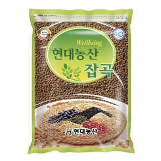 현대농산 갈색렌틸콩 렌즈콩 1kg, 1개