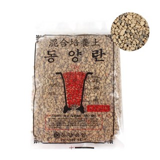 동양란 소 난석 분갈이, 1개