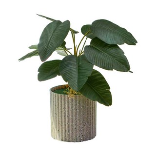 大好屋 仿真龜背葉盆栽組：竹芋、旅人蕉熱帶仿真植物，灰色條紋盆器，輕鬆打造居家綠意, 灰色, 1件