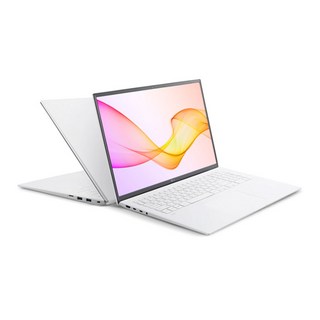 [LG 그램 17인치 노트북 이미지]