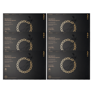 고농축 산삼진액 천삼정 산삼비책진 더 블랙, 6박스, 600ml