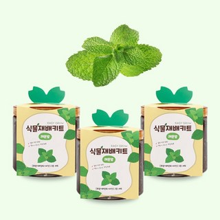 마이팜 실내텃밭 식물키우기 베란다 식물재배키트 화분11종, 07_레몬밤3개