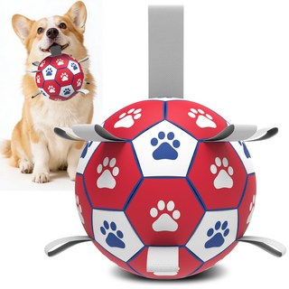 Qdan 강아지장난감 강아지공 개 축구공 끈 달린 펌프 포함, 1개, 빨간색
