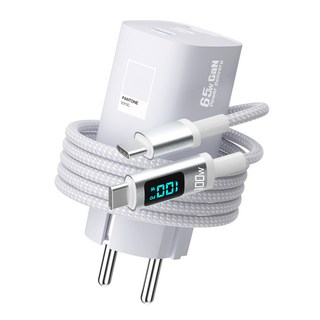 팬톤 접지형 GaN PPS 65W 3포트 디스플레이 초고속 멀티충전기 PD65WGN, 1개, 그레이