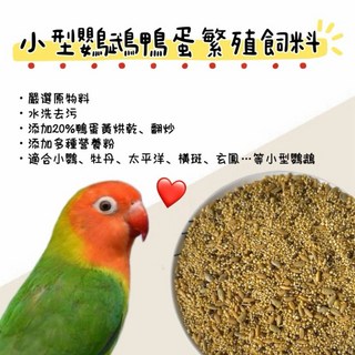 小型鸚鵡鴨蛋繁殖飼料，高蛋白營養配方，促進健康與繁殖, 1個