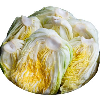 해남절임배추 20KG HACCP 절인배추 좋은세상협동조합, 1박스, 01월 29일(목), 01월 30일(토)도착