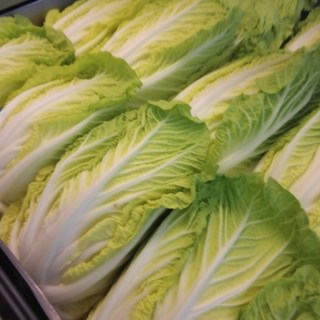 [20년배추명가]HACCP인증 강원도 고랭지 절임배추, 목요일출고, 1박스, 5kg