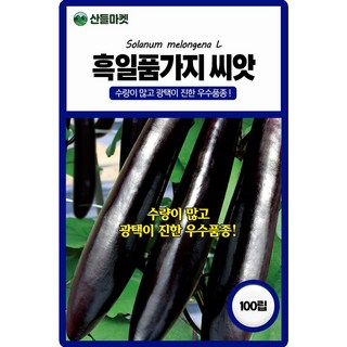 산들마켓 흑일품가지 씨앗 100립 수량이 많고 광택이 진한 가지씨 우수품종 종자, 1개