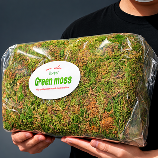 천연이끼 건조 이끼 인삼 테라리움 비바리움 장식 토피어리 조경용 인조잔디 700g, 1개