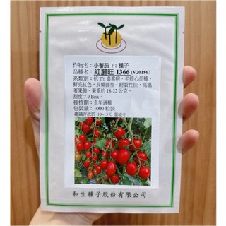 和生紅麗旺番茄種子1000粒 專業農用品種 小番茄種子, 1個, 分包裝250粒