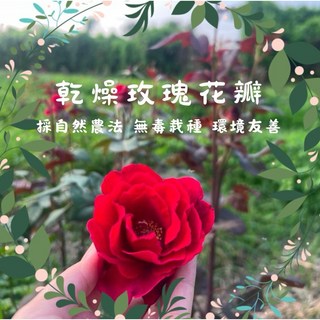 無毒食用玫瑰花瓣 產地直送 人工採摘 自然農法 無毒栽培 友善環境 循環農法, 1個, 盒裝10包入（單包2克）