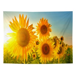 룰루홈 대형 창문 패브릭 포스터 벽 가림막 커튼 가리개 150x130 해바라기 크리스마스