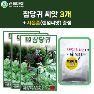 산들마켓 참당귀 씨앗 1g 토종 당귀씨 토당귀 약초 종자 3개+랜덤씨앗1개 증정, 1개
