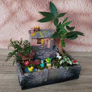 創意苔蘚微景觀生態瓶龍貓盆栽桌面辦公室DIY室綠植室內小植物pd, 看夕陽（全套送工具）, 1個