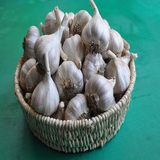 2025년 의성마늘 장아찌용 통마늘 햇마늘 한지형, 1개, 3kg, 의성마늘 중품3kg 약 120-130개