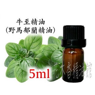牛至精油 奧勒岡精油 5ml, 1個