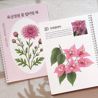 옥상정원 꽃 컬러링 북 도안 어르신 색칠공부 색칠하기 어른 성인취미 치매예방 책 컬러드로잉 시니어 학습지