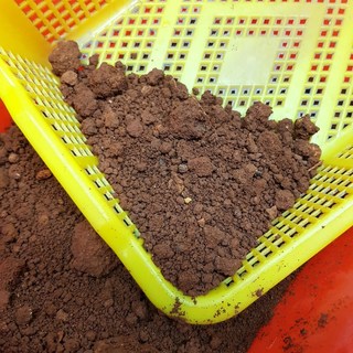 P老闆園藝 陽明山土 紅土 黏土 園藝土 培養土, 1個, 1000g(1公斤)