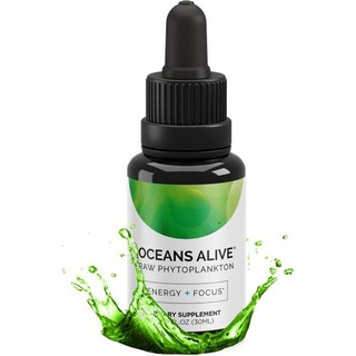 엽록소 조류 활성화 제품별 해양 식물성 플랑크톤 오일 메모리 포커스 미네랄 트레이스 - 에너지 스트레스 미세조류 30ml, 1개