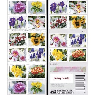 USPS Snowy Beauty (소책자(한글이 아닐 수 있음) 포에버 우표 자체 접착 정원 결혼식 사랑 축하 휴일 겨울 꽃 2022 Scott #5727-57