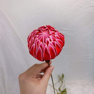 現貨 木牡丹 牡丹球 大朵主花 乾燥花 永生花 居家裝飾 花束材料 捧花 花藝 麥桿菊, 梅紅（一入）