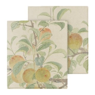 ONYX BOOX 페이지 및 Go Color 7 북 케이스 자동 깨우기 기능 초박형 스마트 기능 리프 3c 및 리프 3 용 마그네틱 커버, 1개, B49