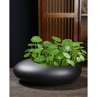 옹기수반 물고기 연꽃수반 인테리어 정원, [01] 1. SGY-흑자화분(B타입)