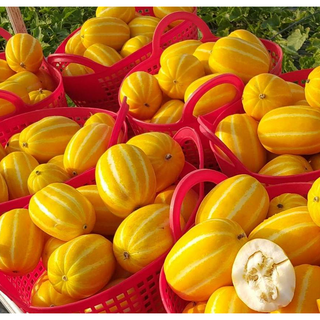 [초특가] 성주참외//산지직송// 아삭달콤한 성주 꿀 참외 3kg 5kg 10kg 가정용혼합과, 1박스, 5kg 혼합과