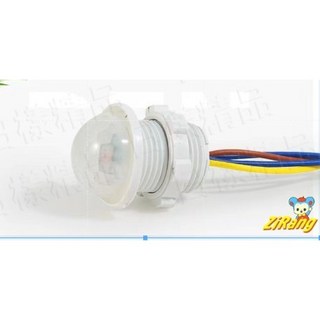 日樣 附發票 紅外線人體感應器 110V 220V 節能省電光控開關 適用LED燈 全電壓 人體感應器開關探頭, 1個, 紅外線感應器長線款（單顆）