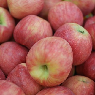 경북산사과 가정용 부사, 1개, 중과 2kg(10과 내외)