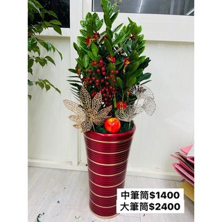 霏霏園藝 搖錢樹盆栽, 買2盆4300元