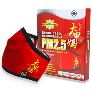 【TOE拇指小舖】PYX 康盾級口罩 - 大甲媽祖限量版 (S/M/L)【品業興官方授權經銷】, 1個, M