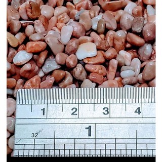 珊瑚紅玫瑰石 栽石 魚缸底沙石 天然石頭 庭園造景 盆栽 水族箱裝飾 水族石頭, 1個, 1公斤