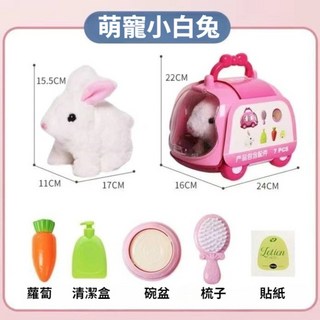 仿真電動毛絨兔子 兒童仿真狗狗 電動兔子 電動小兔 寵物小狗 兔子玩具 玩具狗 萌寵玩具 女孩玩具 兒童節禮物, 1個, **新款**手提寵物箱【兔子】標配版