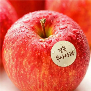 [파격특가] 고당도 부사사과 못난이사과, 1박스, (특가)가성비_10KG