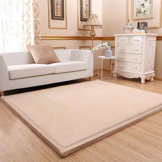 단색 거실 카페트 카펫 극세사 대형 러그 두꺼운 산호 양털 벨벳 매트리스 카멜 침대 다다미 아기 크롤링 매트 최신 일본 스타일 3cm