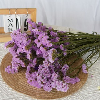 雲南乾燥勿忘我花束 客廳家居裝飾花材 乾燥花配花 永生花材 文藝擺設 乾燥花束 花藝材料, 淺紫色100剋1束
