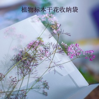 植物標本干花收納袋 押花壓花DIY材料 12.5x17.5公分 5入, 1個, 12.5*17.5CM,5個