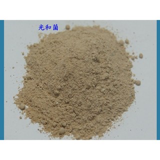 欣欣水族 光合菌粉 50克袋裝 水質淨化 穩定水質 魚缸適用, 1個