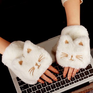 와템 발열장갑 고양이 충전식 무선 여성 사무실 장갑