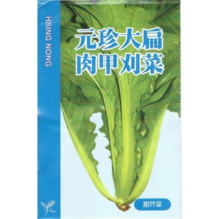 興農種苗 元珍大扁肉甲刈菜種子 家庭園藝 輕鬆種植 新鮮蔬菜, 1個